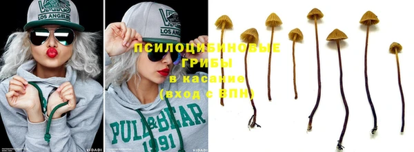 индика Алзамай