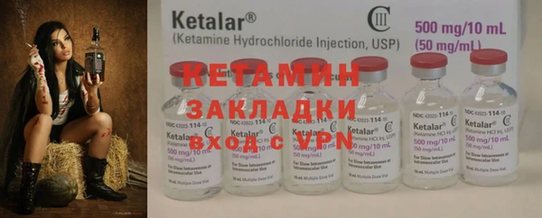 индика Алзамай