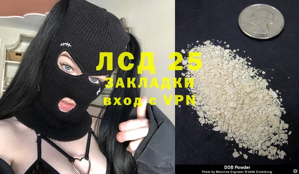 индика Алзамай