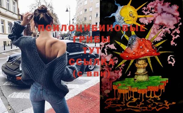 прущие грибы Алексеевка