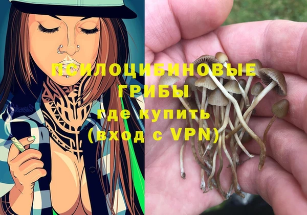 прущие грибы Алексеевка