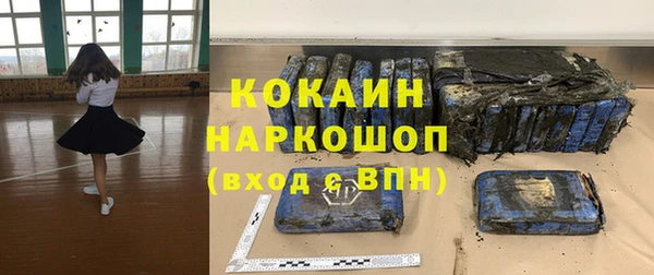 прущие грибы Заволжск