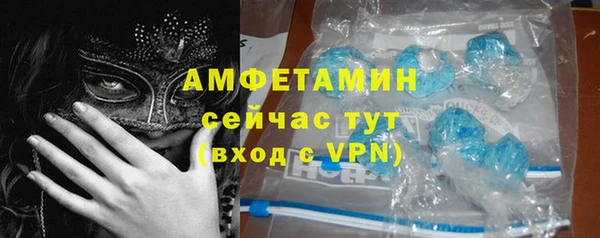 индика Алзамай